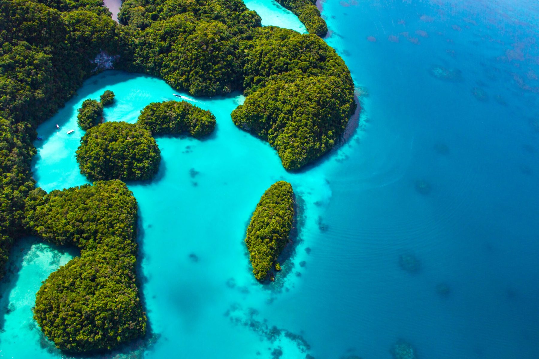 shutterstock_1884322963-scaled